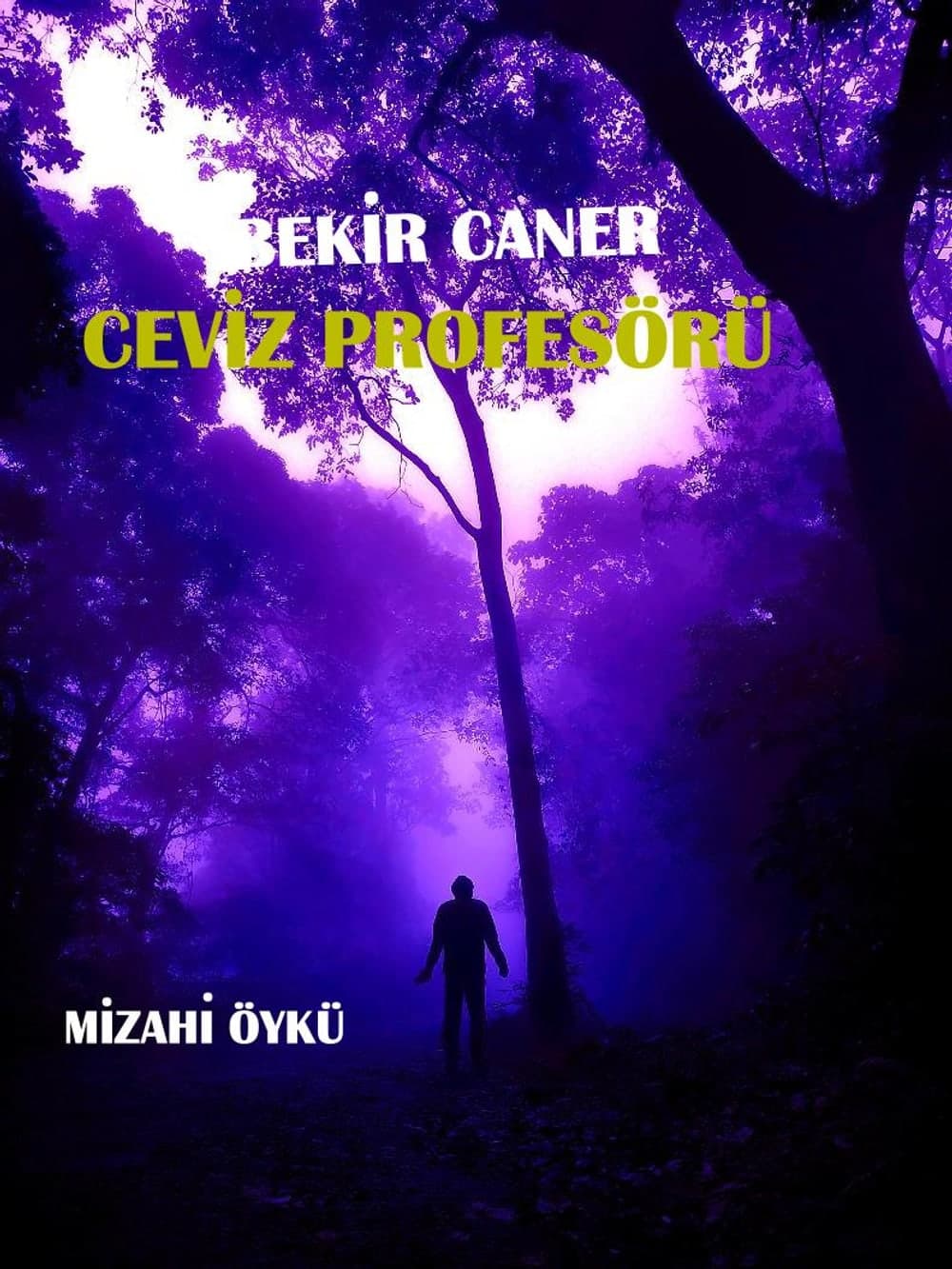 Ceviz Profesörü — kapak